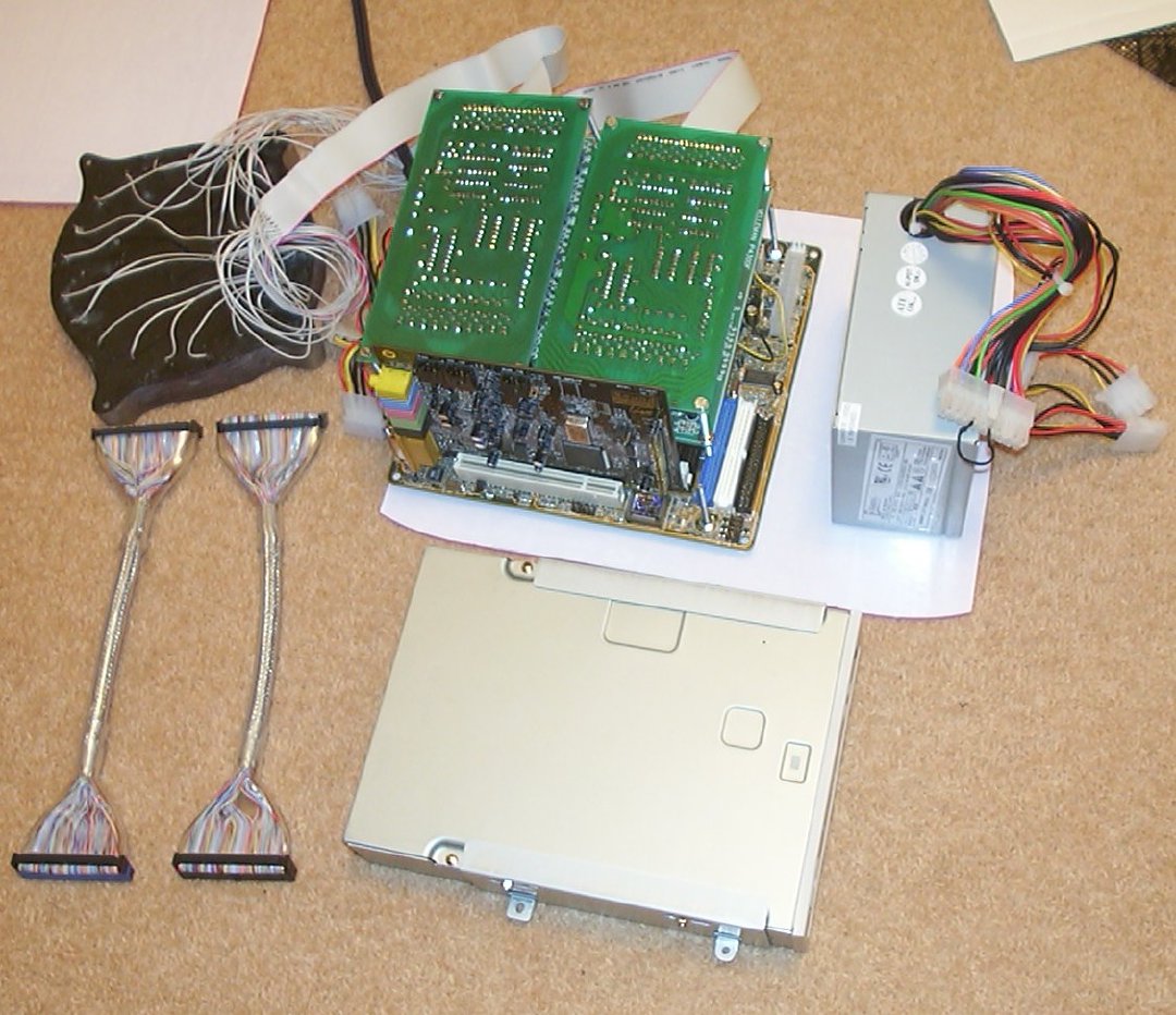 Anemone build photo 32