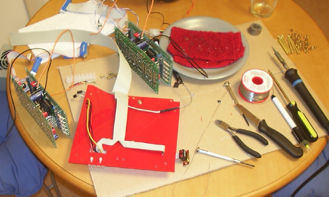 Anemone build photo 56