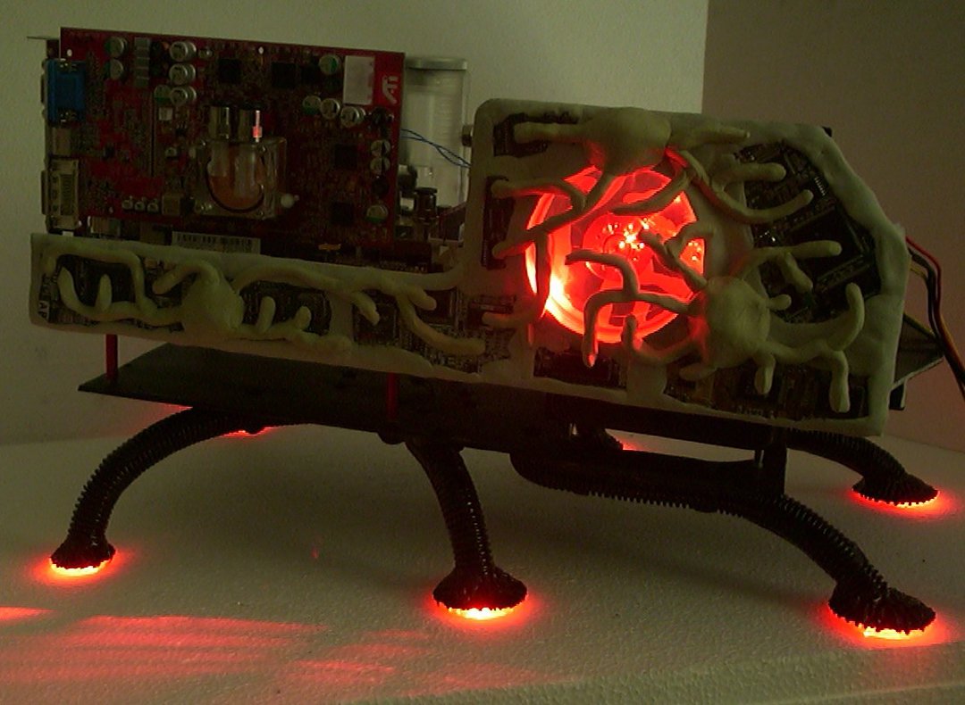 Y2k-bug build photo 75